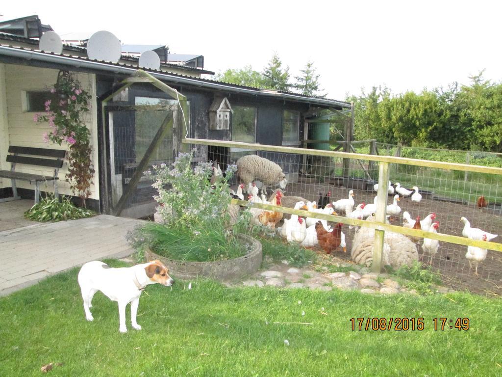 Bakkegarden Homestay Spottrup Buitenkant foto